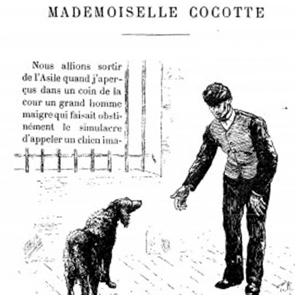 « Mlle Cocotte », éditions Monnier,1884